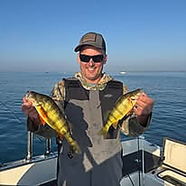 Perch caught with Reel Finatic Charters