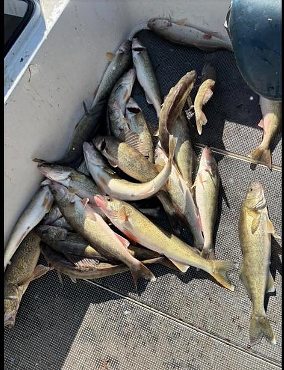 Reel Finatic Charters catch photo 7